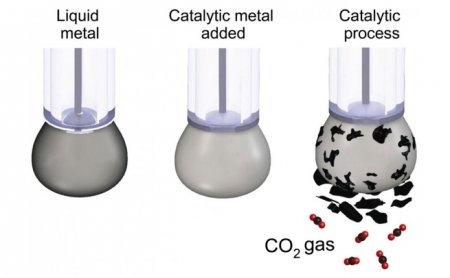      CO2   